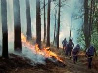 CHIUSURA TEMPORANEA STRADA PROVINCIALE DEL MONTE SERRA