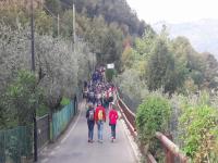 DOMENICA 28 OTTOBRE. II GIORNATA NAZIONALE CAMMINATA TRA GLI OLIVI