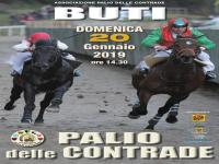 PALIO DELLE CONTRADE 2019